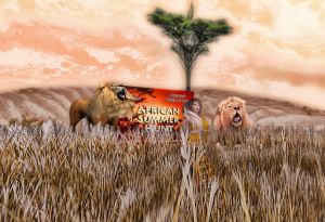 ASHunt - Sending the Lions